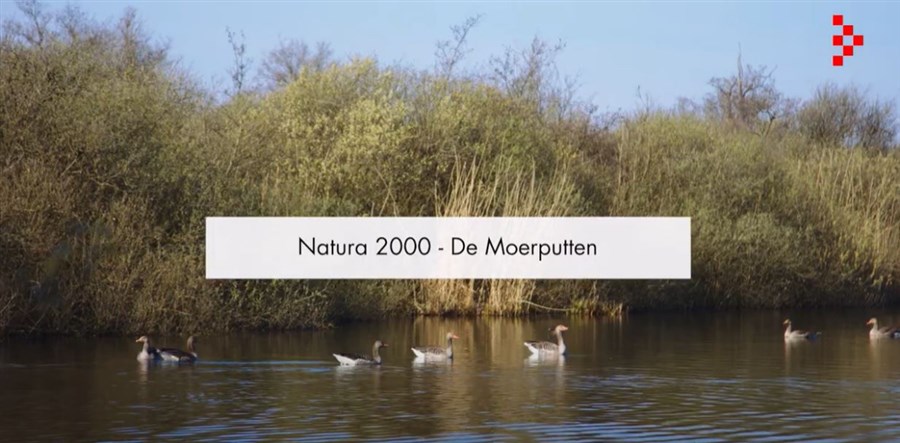 Natura 2000-gebied: De Moerputten